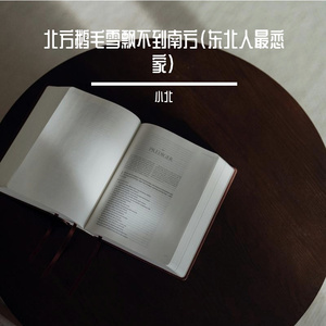 北方鹅毛雪飘不到南方(东北人最恋家)