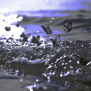 树氷の辉き (Piano. version）