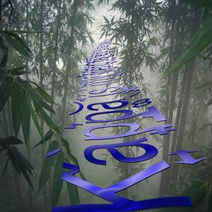 Kappa (feat. Armand Di Doucer)