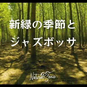 Gentle Chords and Leaves