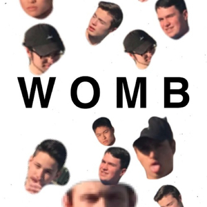 Womb
