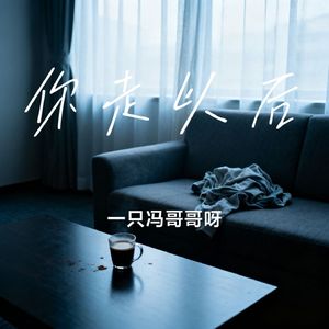 你走以后