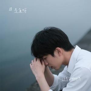 这是我的世界 (Cover 丁宇祥)