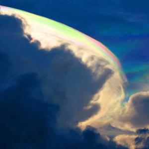 choose your fighter!