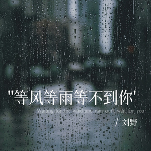 等风等雨等不到你