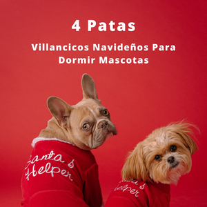 Experiencia Musical De Gatos