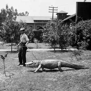 Ramayana / Jörmungandr