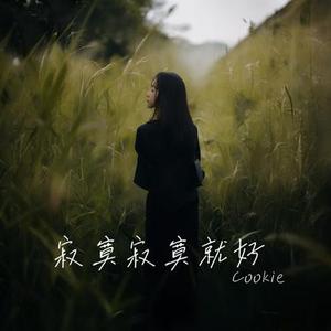 寂寞寂寞就好 (Cover 田馥甄)