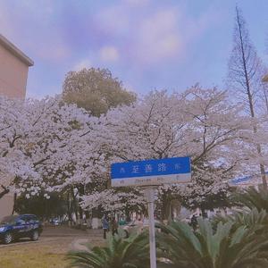 红色高跟鞋(片段)（翻自 抖音版）