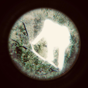 If You Watch Long Enough（若你凝望足够久）