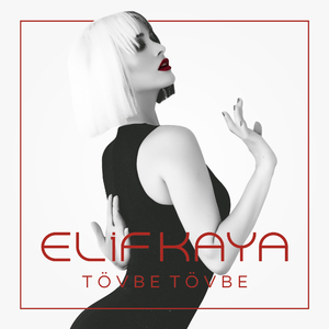 Bir Bilebilsen (Remix)