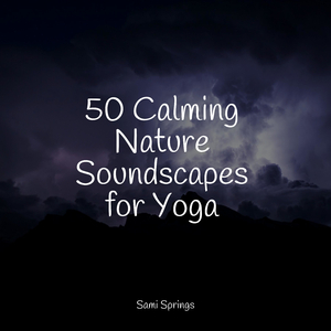 Tropical Forest, Subtle Stream, Animals