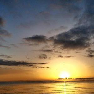 穿越沙漠找到真心