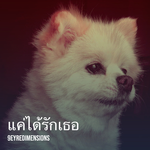 แค่ได้รักเธอ