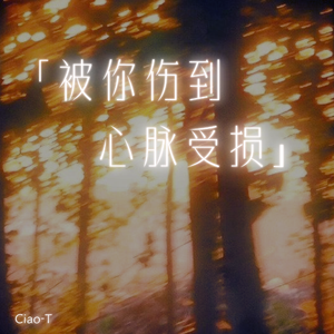 被你伤到心脉受损（烟嗓版）