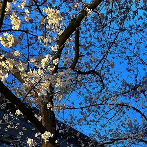 江海不渡你·（翻自 李伊曼）