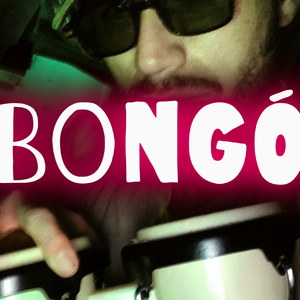 Bongó