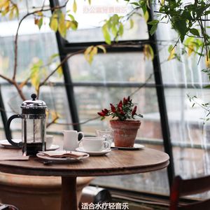 适合静止天然的音乐