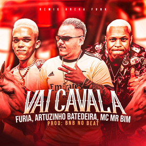 Vai Cavala (Remix Brega Funk)