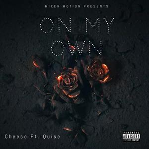 On My Own (feat. BosslifeQuise)