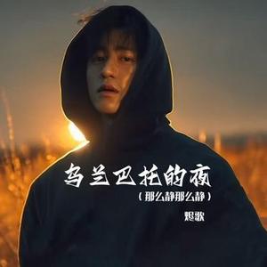 乌兰巴托的夜 (Cover Ineemseglel)