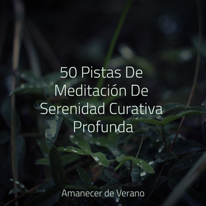 Acurrucado en Mantas