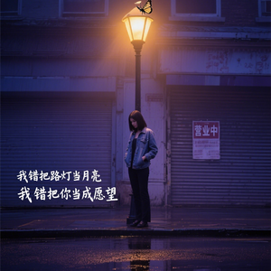 路灯当月亮（翻调）