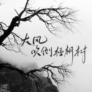 大风吹倒梧桐树 (人生语录版)