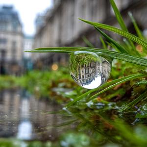 バッタが跳ねた