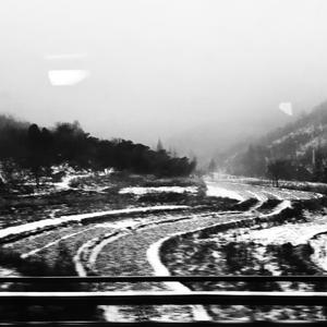 于是我不再唱歌