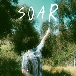 Soar