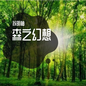 森之幻想