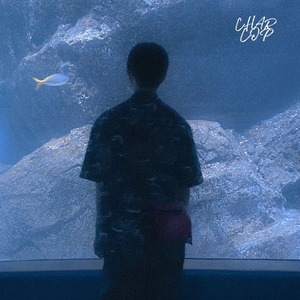 ช่วยจดจำฉันไว้