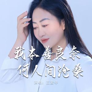 我本善良奈何人间沧桑