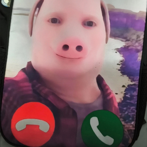 superPiG