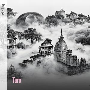 Taro