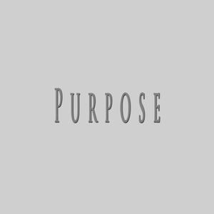Purpose (feat. Nupel Beats)