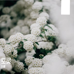 有你就足够 伴奏