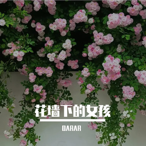 花墙下的姑娘 伴奏