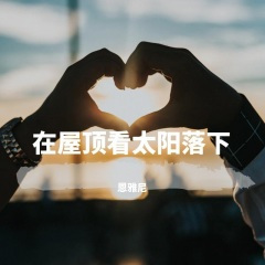 在屋顶看太阳落下 (Live)