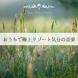 The Morning Cup of Coffee