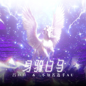 身骑白马 (Remix版伴奏)