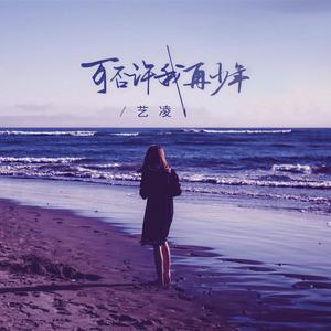 可否许我再少年 (DJ阿哲版)