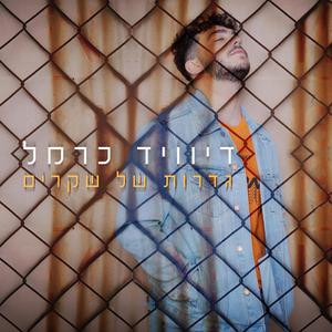 גדרות של שקרים