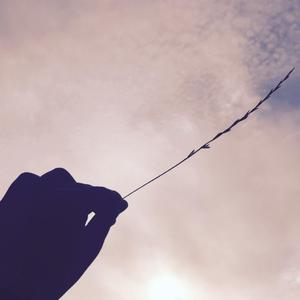 人间共鸣（Cover：李健）