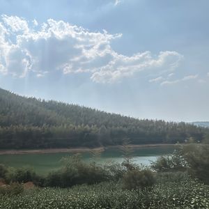 《曙光的希望》