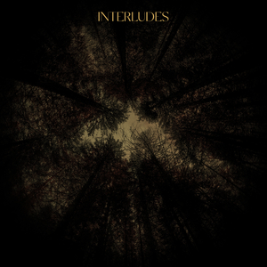 Interlude VI (A Warm Ecstacy)