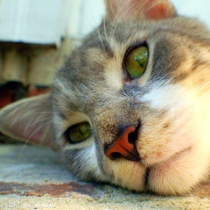 在九月结束的时候与你告别