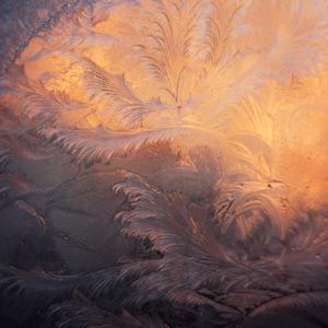 Arctic Polar Sounds