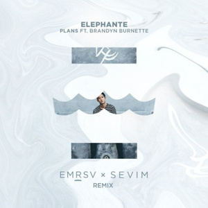 Plans (EMRSV X Sevim Remix)